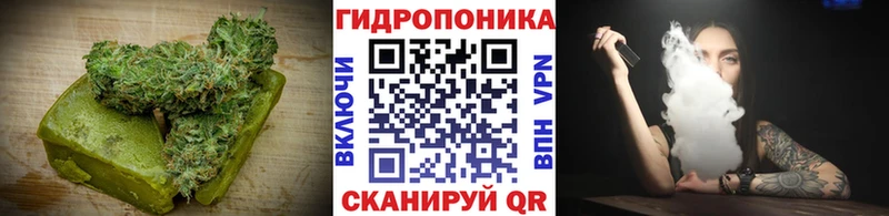 Canna-Cookies марихуана Сольцы